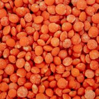 Lentilles corail - végétalizie Le végé facile & gourmand ateliers et cours de cuisine végétarienne à Bordeaux