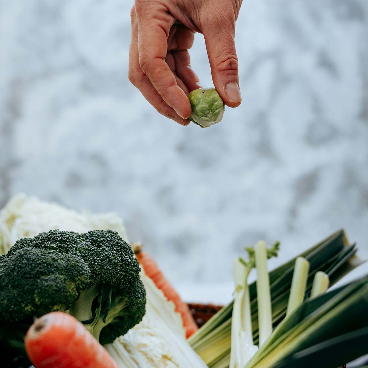Accompagnement individuel - végétalizie Le végé facile & gourmand ateliers et cours de cuisine végétarienne à Bordeaux